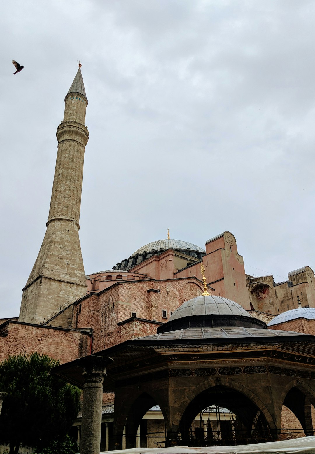 Kapadokya Turu